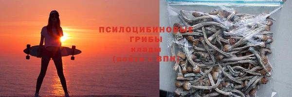 герыч Алексин