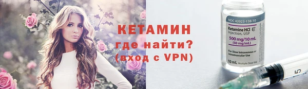 шишки Абаза
