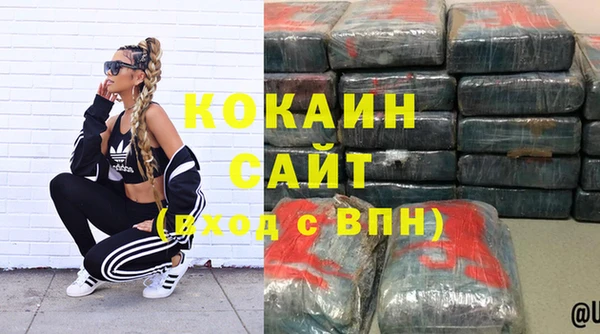 шишки Абаза