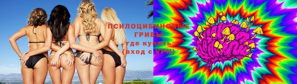 СК Алзамай