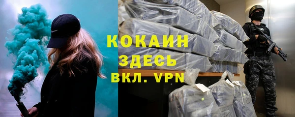 шишки Абаза