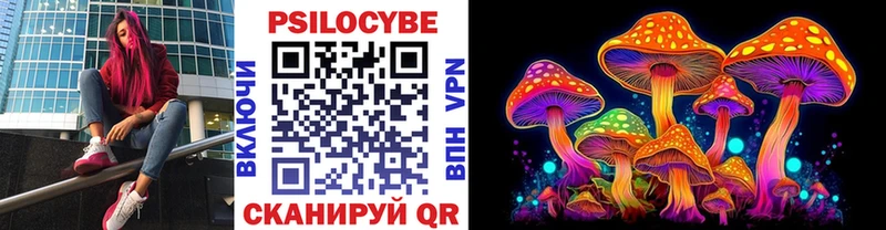 Псилоцибиновые грибы Psilocybe  дарнет шоп  mega как зайти  Нерчинск 