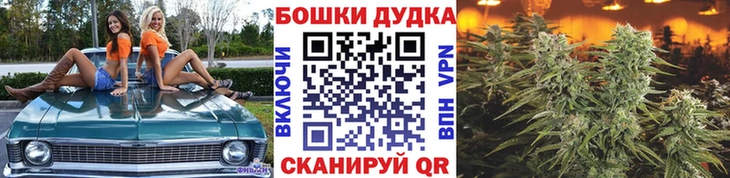 Шишки марихуана THC 21%  где продают   MEGA   Нерчинск 